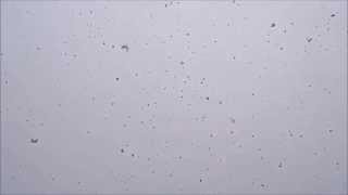 White Christmas Part II (Feat.Saori Yuki由紀さおり) - Pink Martini 红粉马丁尼