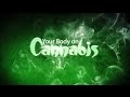 Your Body on Cannabis (New Documentary) 