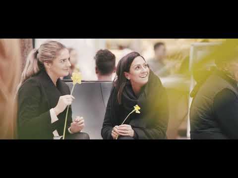 Utrecht Flash Mob - the Wales Way