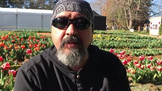 50 YIL 50 ÖYKÜ - Avustralya'ya Göçün 50. Yılı