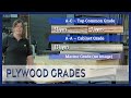 Plywood Grades Overview