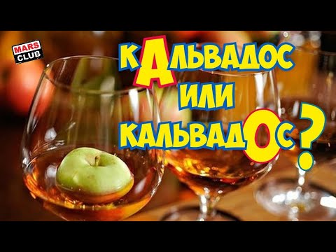 download lagu mp3 mp4 Daron Calvados Review, download lagu Daron Calvados Review gratis, unduh video klip Daron Calvados Review