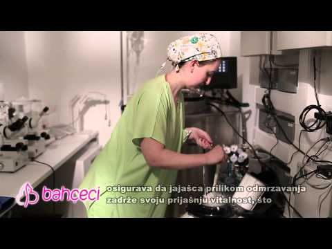 Da li se jajašca mogu zamrzavati?