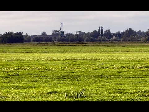 NS Wandeling Hollandse Kade 17 km