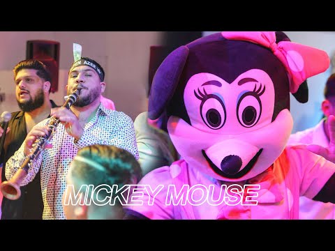 Alpen Minune - ORK.Romaniei -  KOCEKA MICKEY MOUSE 2025