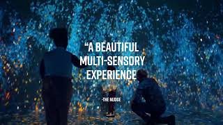 Frameless Immersive Art Galleries