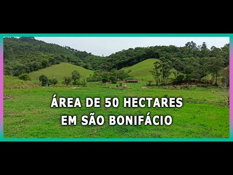 Sítio 50 ha com Área de Pasto, Riacho e Muita ÁGUA em São Bonifácio  SC - R$ 890 mil