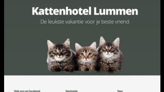 preview picture of video 'Kattenhotel Lummen   kattenpension Limburg'
