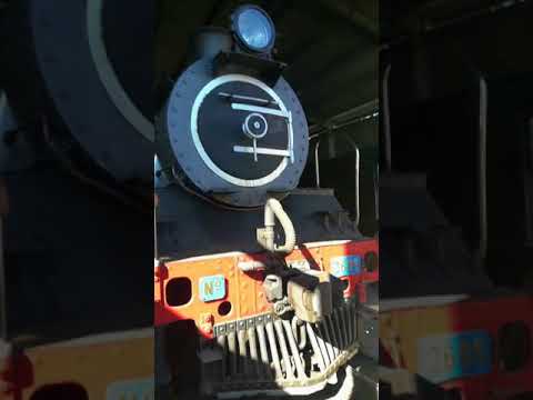 Exploring abandoned trains