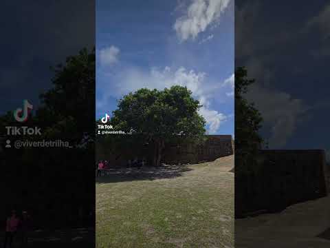 O segredo histórico do Forte Orange em Itamaracá #trilha #natureza #aventura #itamaracá #pernambuco