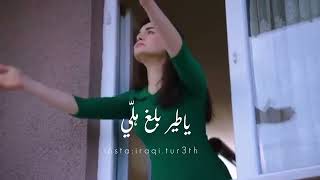 كلمات اغنية يا طير نوفا عماد