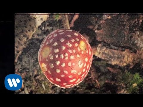 Neil Young + Promise Of The Real - Almost Always (Official Music Video)