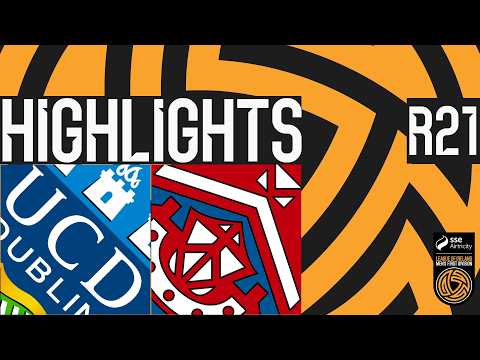 bg-highlight