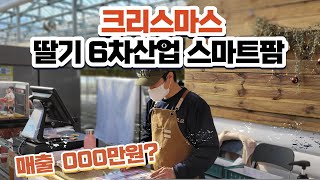 크리스마스 당일 딸기스마트팜 매출은??