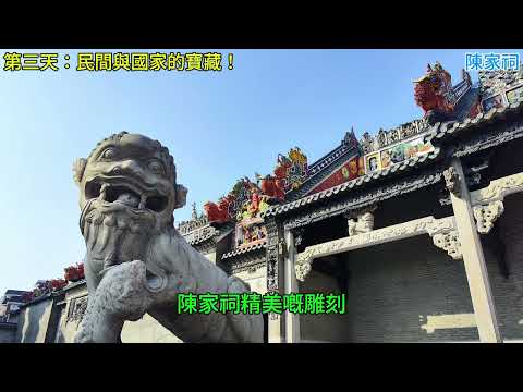 video-image