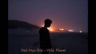 Download lagu Park Hyo Shin Wild Flower Sub Indo mp3