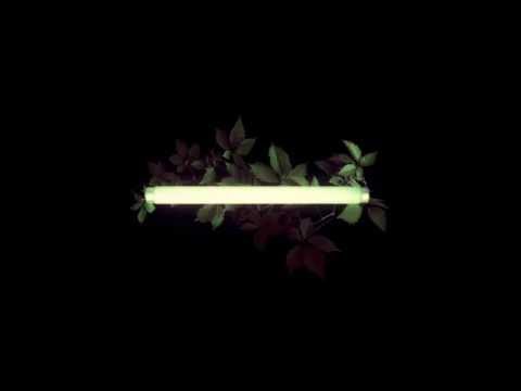 STXXCH - Pure Spirit