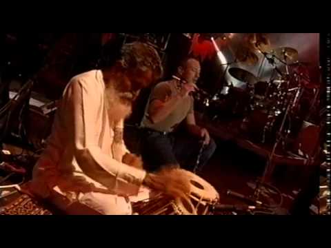 Lucie Turne Slunecnice 2001 - Medvidek