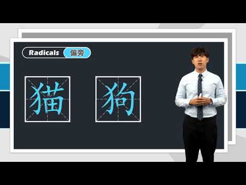 Lesson 6 你怎么不吃了 Why don't you eat more Pronunciation & Chinese characters