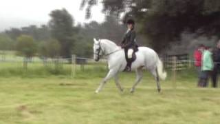 preview picture of video 'Rowan - Grantown 2009 13.2hh to 14.2hh'