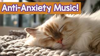 Relaxing Music for Indoor Cats 🐾 Calm, Comfort & Cozy Naps