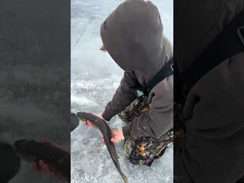 #icefishing #fishing #pike #relatable