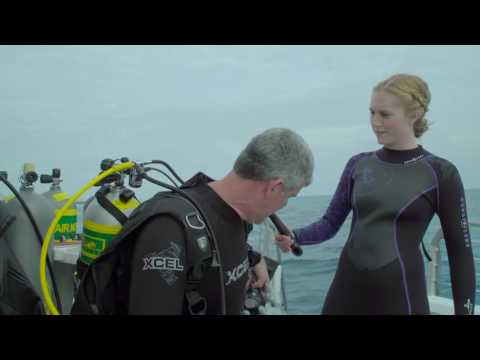 download lagu mp3 mp4 Naui Fit, download lagu Naui Fit gratis, unduh video klip Naui Fit