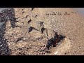 Tindersticks - The Other Side Of The World