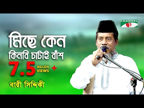 মিছে কেন কিনবি চাটাই বাঁশ || Bari Siddiqui || Channeli - IAV