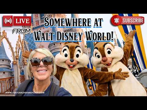 Live webcam of That Crazy Disney Lady