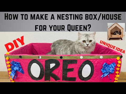 How to Build a nesting Box/house for your cat🏠|| Do it yourself || Nest for persian cat😍