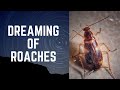 Dreaming of Roaches with Quick Prayers v