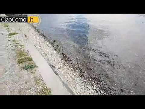 Bagno nel lago di Como e pista ciclopedonale sulla riva