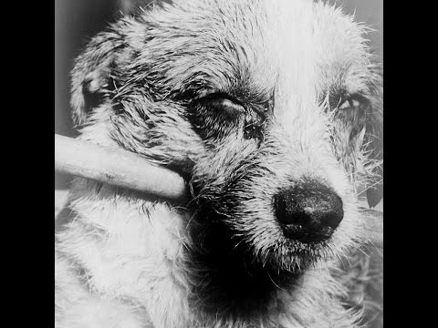 Gonguri 공구리 - 2014 EP (full album)