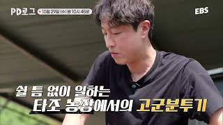 시속 70km 진격의 타조 농장에서 살아남기ㅣ#PD로그