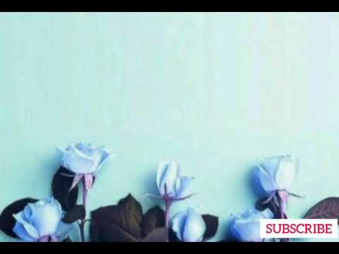 Murdbrain & Savrokks - Something Strange (Lyrics)