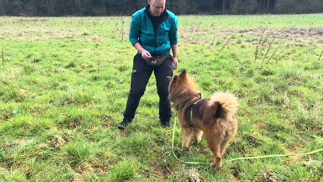 Bahnhofstoilette Nein Danke