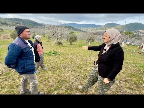 We Sold the Fig Orchard, We're Buying a New One | Nedim Yıldız