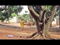 You Won’t Stop Crying Real Tears After Watching This Touching True Life Story-African Movies