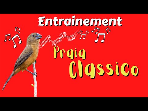 Entrainement Praia classico