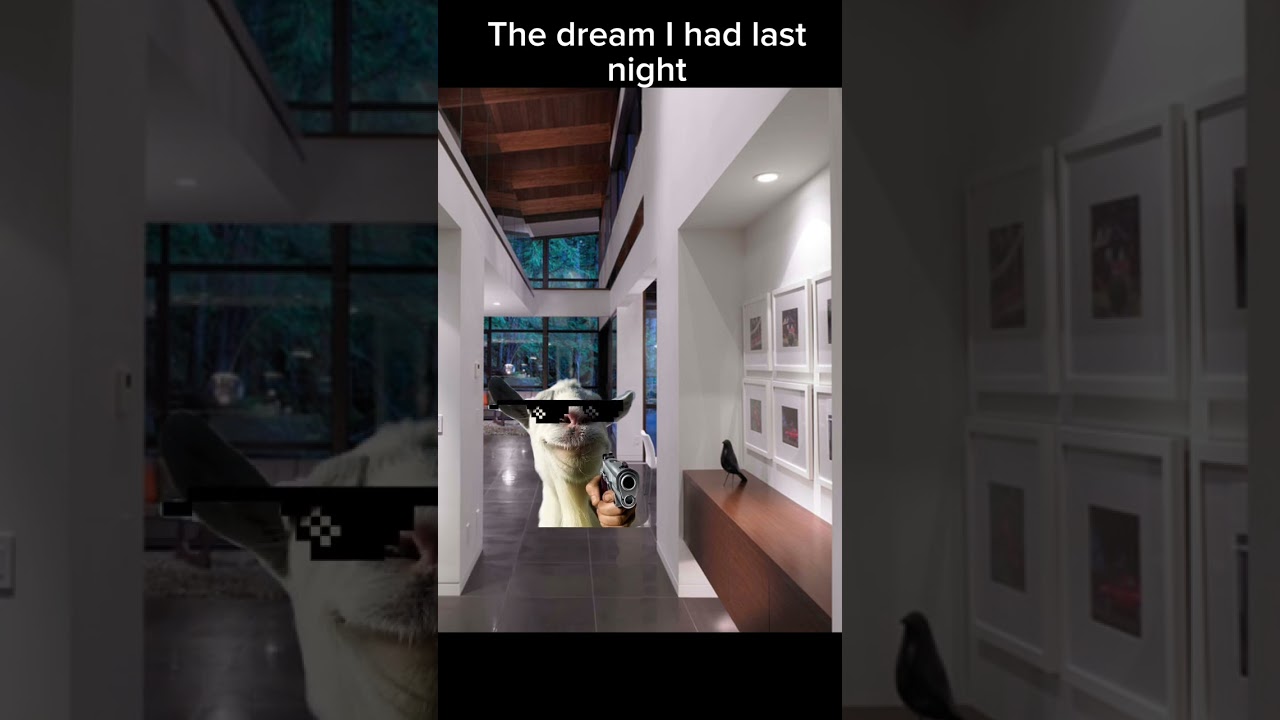 The dream I had last night #shorts #capcut #horrorstories #trend #funny #scary #lol #memes