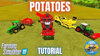HOW TO GROW POTATOES - Farming Simulator 22