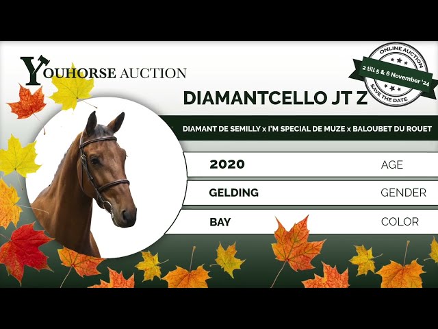 Diamantcello JT Z dressage