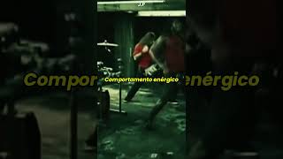 Sepultura - Forceful Behavior (Legendado Para Status)
