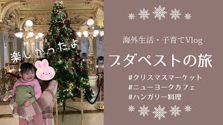 【ブダペストのクリスマスマーケット】ハンガリー料理レストラン "Menza" と世界一豪華なカフェ ”New York Cafe” ハンガリー旅行|旅記録| #子育てvlog #海外生活