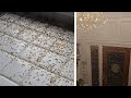 Flying Termites Swarm New Orleans Home