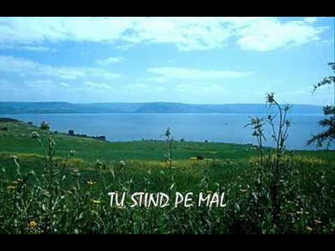 TU STIND PE MAL  - Ilie A Negru