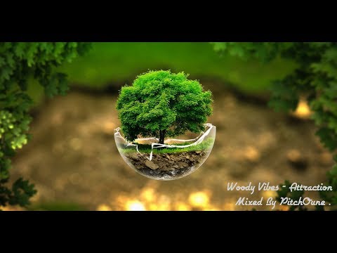 Woody Vibes - Attraction // Mixed By PitchOune