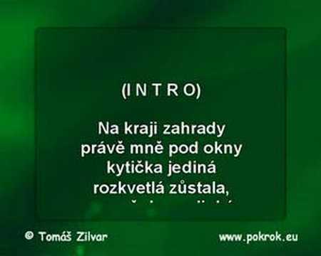 Pomněnka - Iveta Bartošová (www.pokrok.eu)