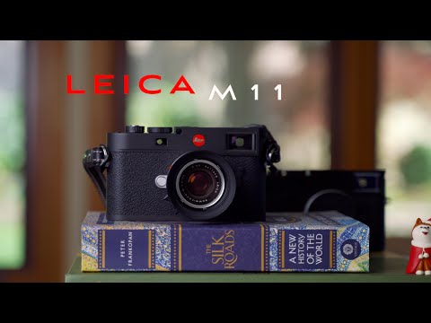 Leica M11 long-term review (2024)